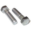 Stainless Hex Bolts